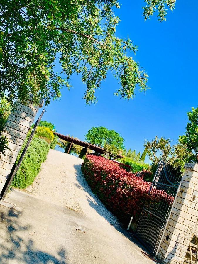 8380 Agriturismo L'Oleandro Montemerano Exterior foto
